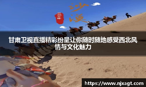 甘肃卫视直播精彩纷呈让你随时随地感受西北风情与文化魅力